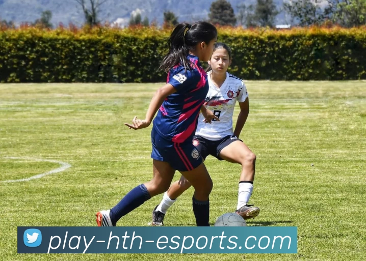 App Interface Preview